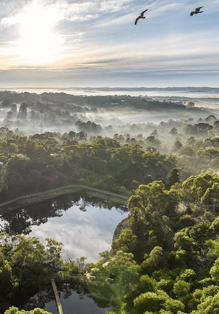 adelaide Hills 3